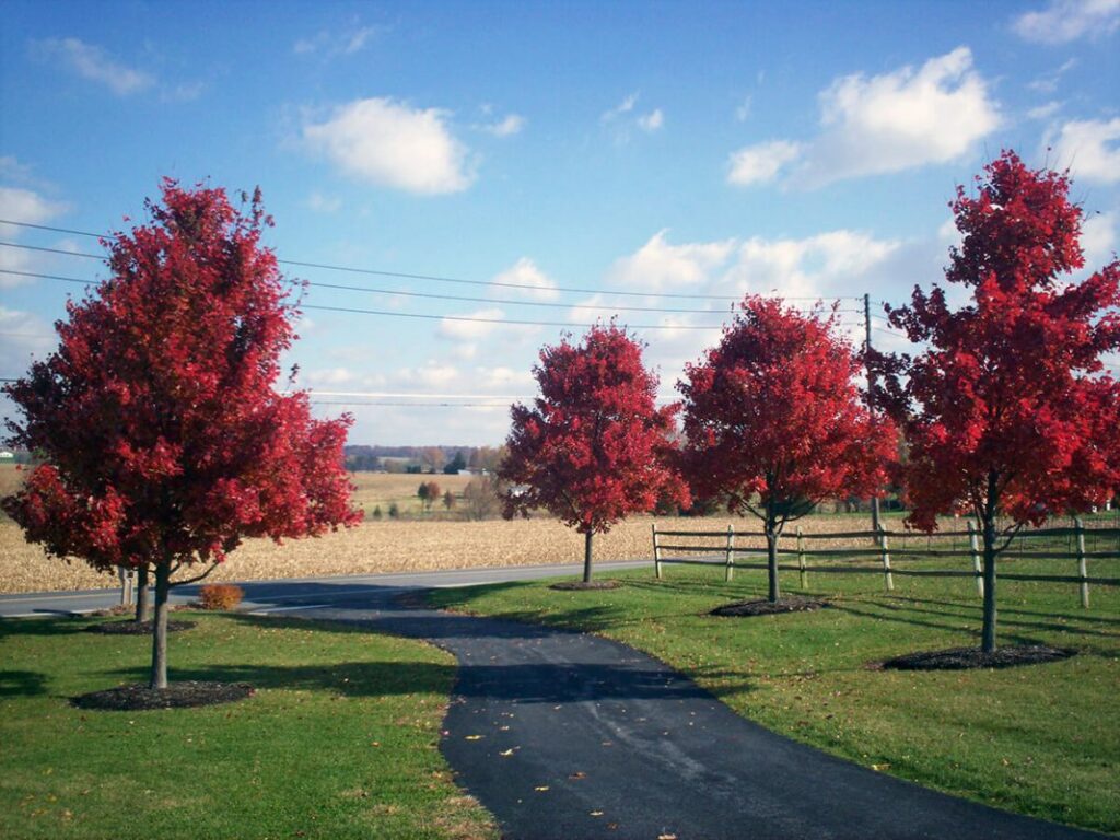 landscaping landsiville