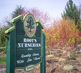 Roots Nurseries Manheim PA Plant Center