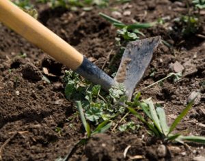 landscaper