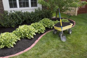 garden design landscaping